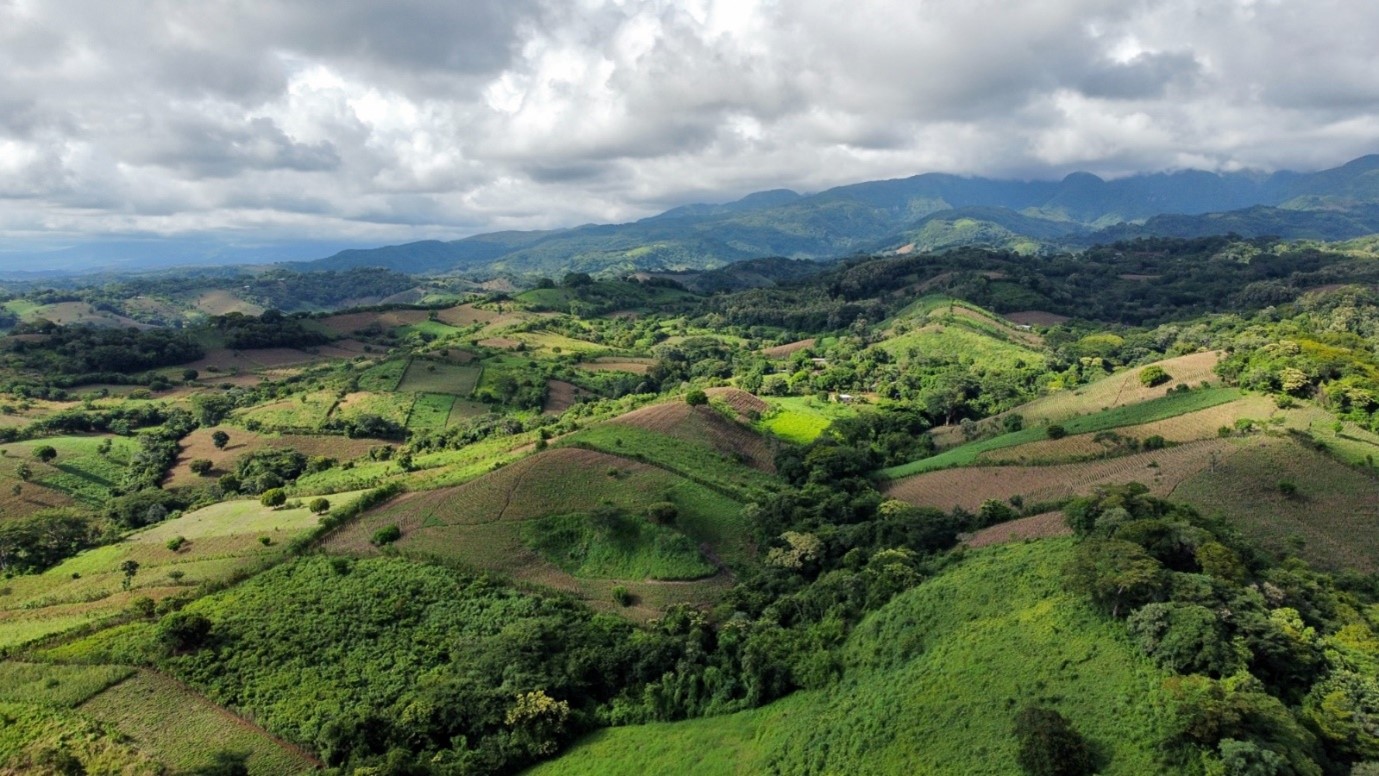 Área de restauración entre el Parque Nacional El Imposible y los humedales de Barra de Santiago, El Salvador, mediante Sistemas Agroforestales y Silvopastoriles. 